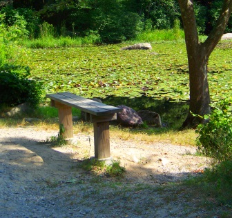 Bench alongside Boundary Pond at Wompatuck State Park.