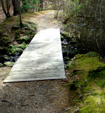 bradford torrey bridge