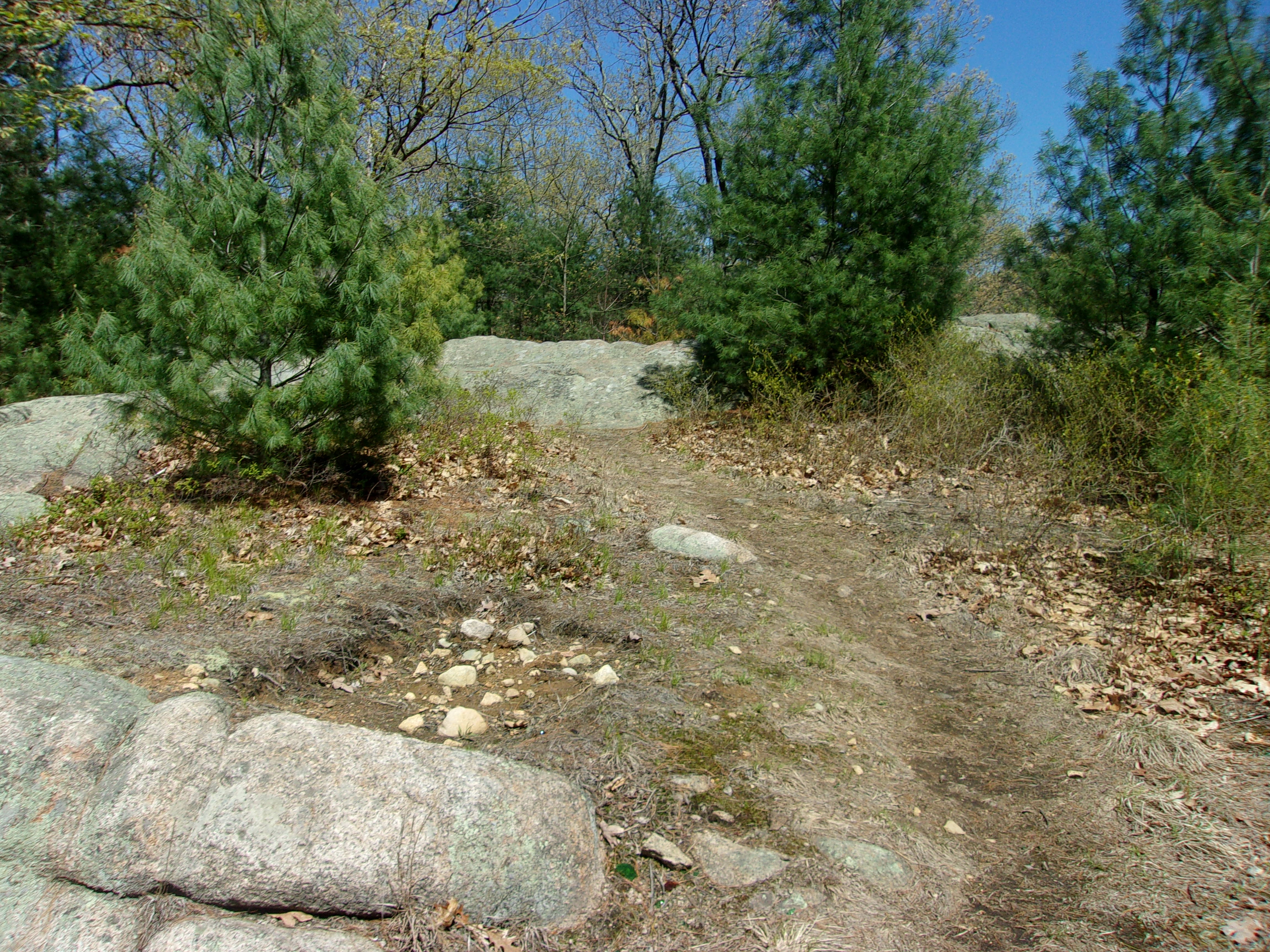 trail over rocky ledge