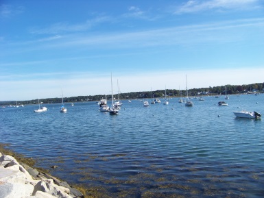 boats safely anchored within the breakwater