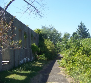 An asphalt hiking trail leading past more building remains on Bumpkin Island.