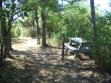 Campsite number one on Bumpkin Island.