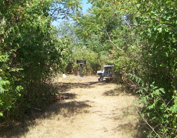 Camp site near the end of the campground hiking trail.