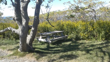 Picnic spot along the main trail across Bumpkin Island.