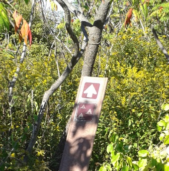 Hiking trail to camp sites on Bumpkin Island.