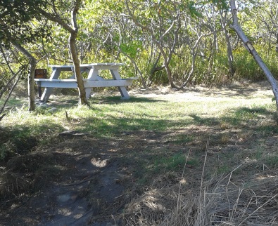 beach side camp site number twelve on Bumpkin Island.