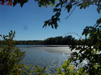 Indian Reservoir pond at Burrage Wildlife Management Area