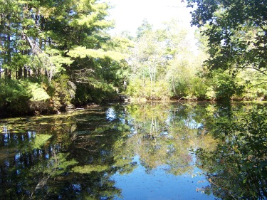 smaller peaceful pond of indian reservoir