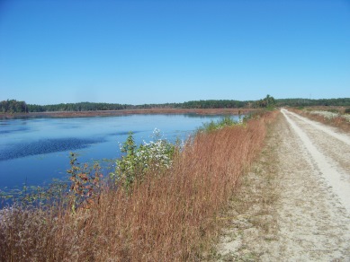 hiking along upper burrage pond