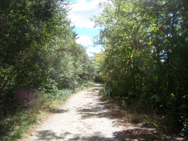 sandy road thru burrage wildlife management area