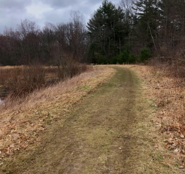 Sand and grass road to Stump Brook.