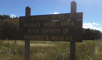 burrage pond management area