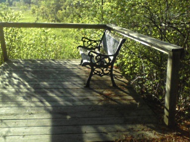 observation deck on the hiking trails at camp wing conservation area