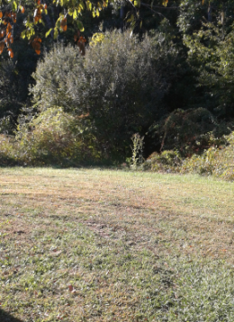 field to trail at centennial park in norwell