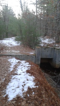 one of many culverts in thaddeus chandler sanctuary