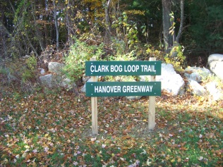 clark bog loop trail head