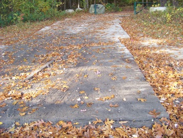 beginning of clark bog loop trail