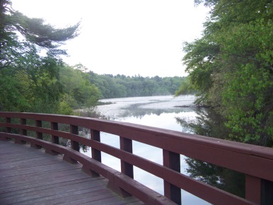 view from the Cliff Prentiss Bridge into Jacobs Pond