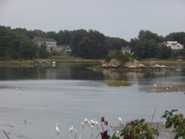 little harbor in cohasset