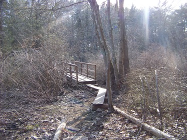 beginning of bridge in colby phillips conservation