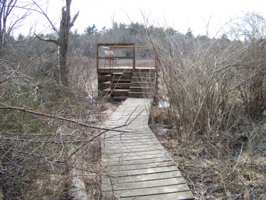 viewing platform at colby phillips