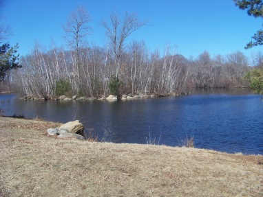 little island in Hobarts Pond