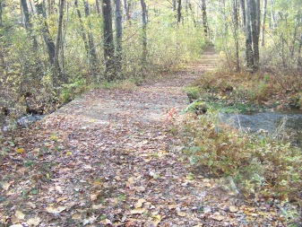 bridge after kiosk at cranberry pond