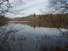 cranberry pond in braintree