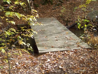 bridge over cranberry brook