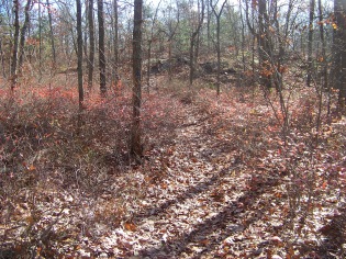 short cut paths other side at cranberry pond