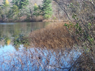 view of cranberry pond