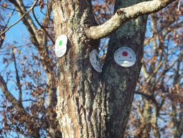 trail markings on cranberry pond trails