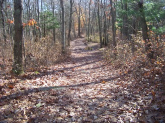 cart path at cranberry pond