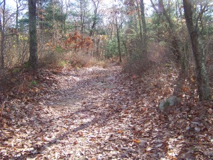 trail at cranberry pond