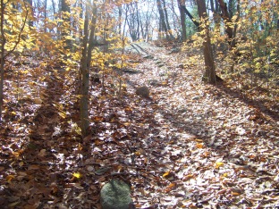 blue dot trail at cranberry pond