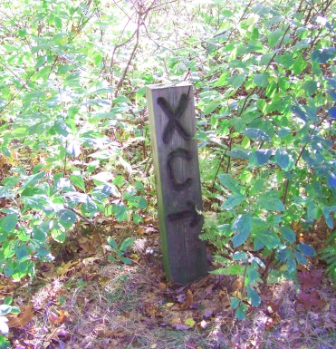 trail blaze at cranberry watershed preserve.