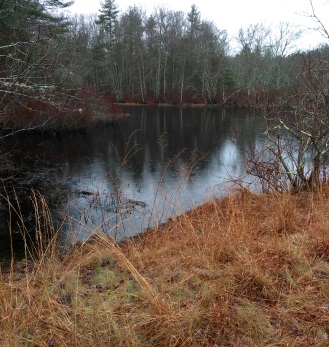 Pine Brook Reservoir in the winter.
