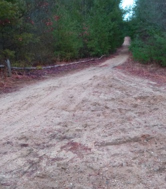 Wide sandy hiking trails at cranberry watershed preserve.