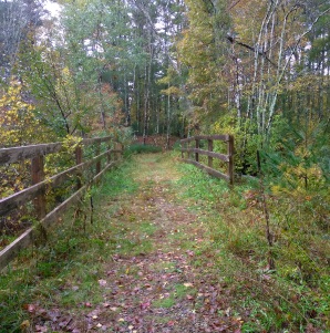 Hiking trail natural bridge.