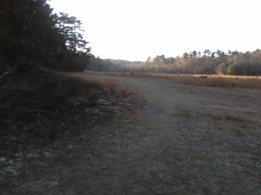 road around cranberry bog at crowell conservation
