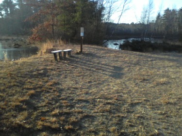 rustic bench at corner of cranberry bog