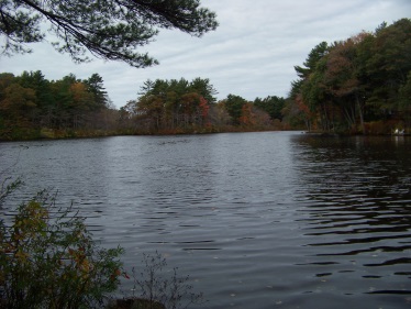 view from cushing point on cushing pond