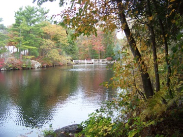 cushing pond dam