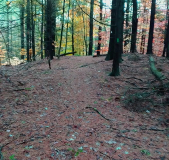 Denham Pond Trail