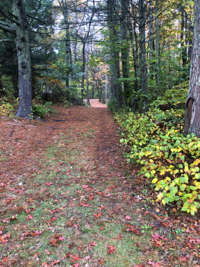 Denham Pond Trails access road