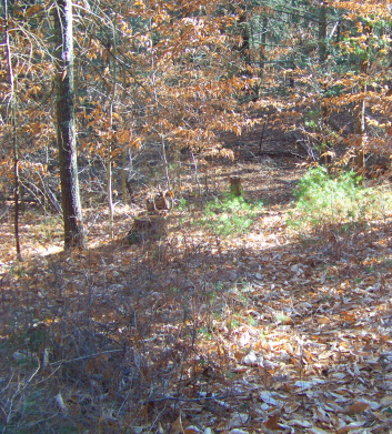 Search for the red arrow on the trail.