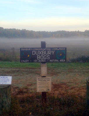 Duxbury Bogs Conservation sign at parking lot on East St in Duxbury.