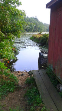 View of Cranberry Factory Pond along a pump house at Duxbury Bogs.