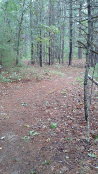 The Bay Circuit Trail runs through and alongside Cranberry Factory Pond.