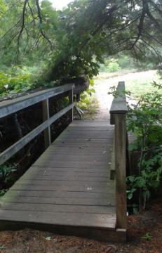 Bridge near parking area at Duxbury Bogs